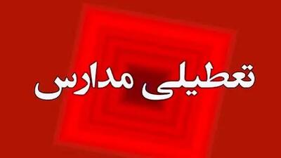 تعطیلی مدارس تهران به خاطر شیوع «شپش» بود یا آلودگی هوا؟!