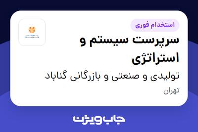 استخدام سرپرست سیستم و استراتژی در تولیدی و صنعتی و بازرگانی گناباد