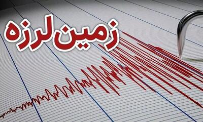 مدیرعامل هلال احمر بوشهر: زلزله در استان بوشهر، تا این لحظه خسارت جانی و مالی نداشته است (فیلم)