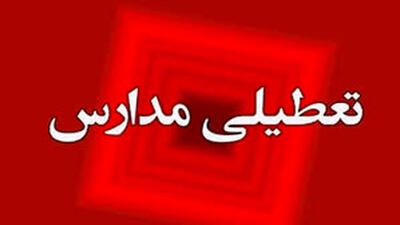 شفاف‌سازی درباره خبر تعطیلی مدارس به‌دلیل «شپش»!