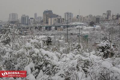 بارش برف و باران در شمال‌غرب و زاگرس؛ آلودگی همچنان مهمان کلان‌شهرها