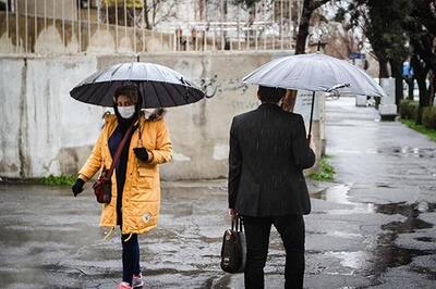 خواندن این مطلب برای متاهل‌ها مطلقا ممنوع است - اکونیوز