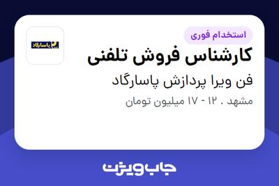 استخدام کارشناس فروش تلفنی - خانم در فن ویرا پردازش پاسارگاد