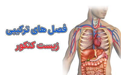 فصل های ترکیبی زیست دهم، یازدهم و دوازدهم - مردم سالاری آنلاین