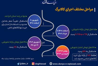 اینفوگرافی/ مراحل مختلف اجرای کالا برگ | اقتصاد24