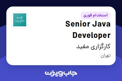 استخدام Senior Java Developer در کارگزاری مفید