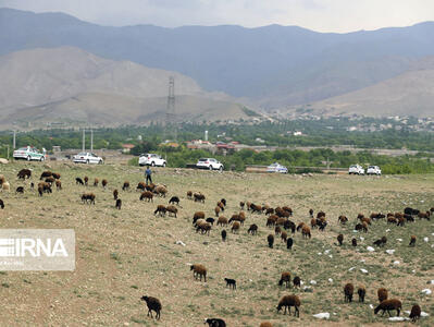 فاجعه زیست محیطی در منطقه حفاظت شده طالقان