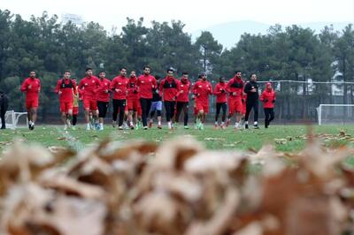 به این چند دلیل، سرمربی آینده پرسپولیس مشخص شد