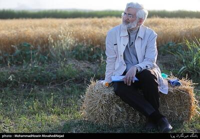 مقام سابق قضایی: جلیلی در حوادث فاجعه‌آمیز ۸۸ نقش کلیدی داشت |  انصاف نیوز