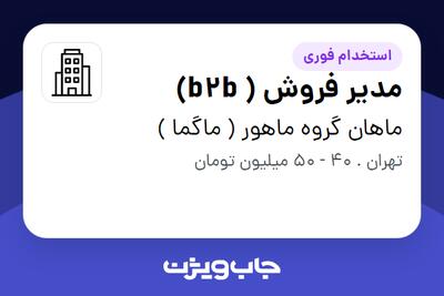 استخدام مدیر فروش ( b2b) در ماهان گروه ماهور ( ماگما )