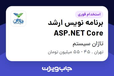 استخدام برنامه نویس ارشد ASP.NET Core در تاژان سیستم