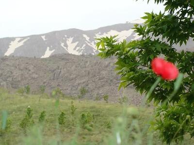 «خاوه» در مسیر توسعه/ وقتی مردم پای‌کار می‌آیند