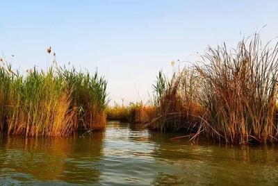 تالاب شادگان خوزستان و راهنمای بازید از آنجا