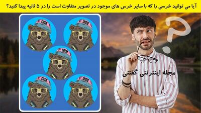 آیا می توانید خرسی را که با سایر خرس های موجود در تصویر متفاوت است را در 5 ثانیه پیدا کنید؟