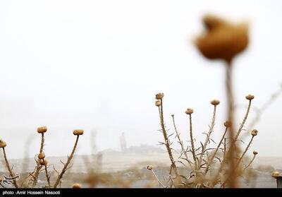 مه‌گرفتگی در محور زنجان ـ قزوین - تسنیم