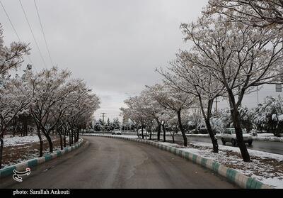 هشدار هواشناسی لرستان؛ بارش برف و باران از شنبه - تسنیم