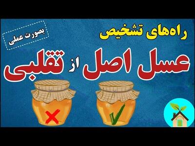 دروغ هایی که در مورد عسل طبیعی و تقلبی میگویند / اینطوری تشخیص بده عسل طبیعی هست یا تقلبی