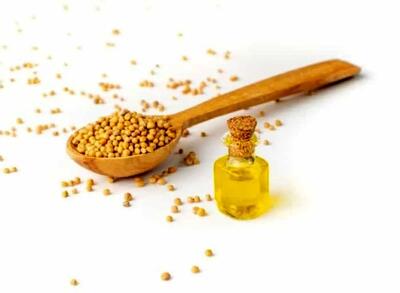 روغن این دانه، گنجینه‌ای از خواص برای سلامتی و زیبایی