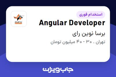 استخدام Angular Developer در برسا نوین رای