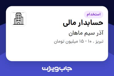 استخدام حسابدار مالی - خانم در آذر سیم ماهان