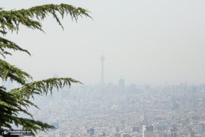 آمار عجیب نماینده تهران در مجلس؛ ۳۰ درصد جمعیت تهرانی‌ها تحت تاثیر آلودگی هوا