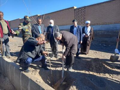 فرماندار: راهکار مقابله با ریزگردها در اقلیم کویری سبزوار کاشت نهال است