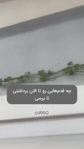 اگر خسته شده ای این تصاویر را نگاه کن + فیلم