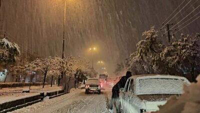 آغاز بارش شبانه برف در جاده چالوس