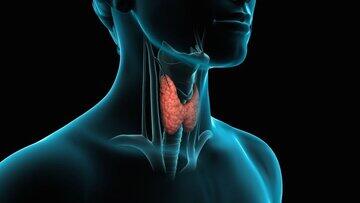 اندیشه معاصر - کم‌کاری تیروئید در کودکان؛ یک تهدید خاموش که والدین باید مراقب آن باشند اندیشه معاصر