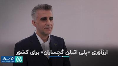 ارز‌آوری «پلی اتیلن گچساران» برای کشور+ فیلم