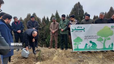 یک میلیون اصله نهال در ملایر تولید شد