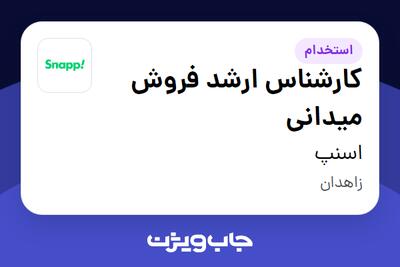 استخدام کارشناس ارشد فروش میدانی در اسنپ