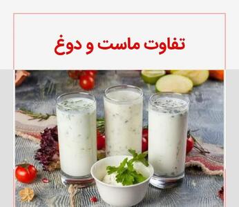 تفاوت ماست و دوغ: چربی و خواص