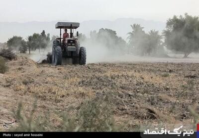 کشت گندم در ۶ میلیون و ۳۹۰ هزار هکتار از اراضی کشور