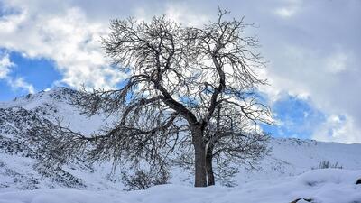 حکمرانی سرما در کردستان تا یکشنبه آینده