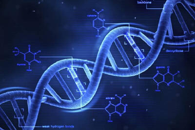 جهش‌های DNA و درمان بیماری‌های ژنتیکی