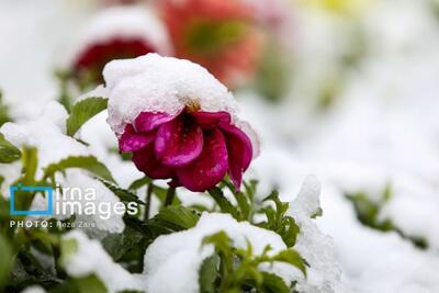 دمای هوا در همدان ۲تا۳درجه سردتر می‌شود