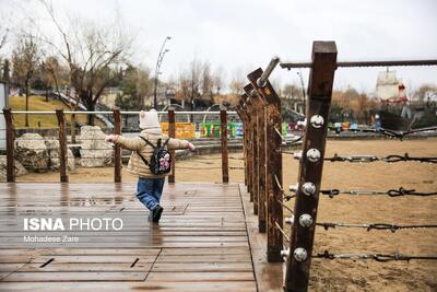 بارش باران زمستانی در مشهد