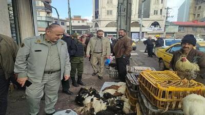 برخورد جدی با فروشندگان پرندگان مهاجر در گیلان