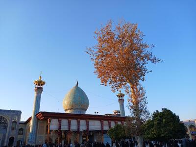 فیلم| شیراز در ماتم سالروز شهادت شاهچراغ (ع)