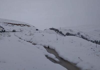 جدول بارش برف و باران در کرمان/ کوهپایه سپیدپوش‌ترین نقطه استان