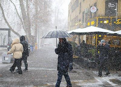 عکس/ بارش برف در تهران