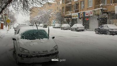 پیش بینی وضعیت آب و هوا فردا یکشنبه ۳۰ دی ماه ۱۴۰۳ | برف در این ۷ استان | تعطیلی مدارس اعلام شد