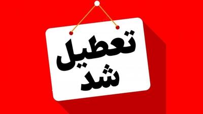 هشدار هواشناسی برای یخبندان ۲۵ استان/ مدارس و ادارات فردا یکشنبه ۳۰ دی تعطیلند؟