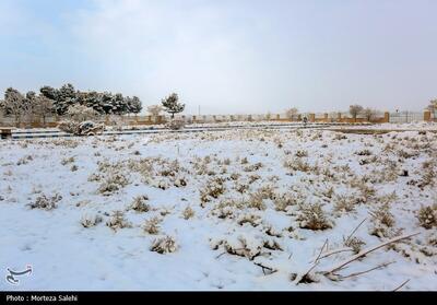 بارش برف زمستانی در کرمان- فیلم فیلم استان تسنیم | Tasnim