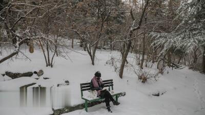 برف زمستانی در تهران