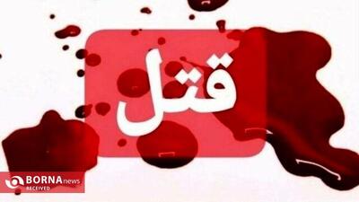 قتل خونین پسر ۱۳ ساله با ضربات چاقو/ کشف جسد در حمام برجی در چیتگر