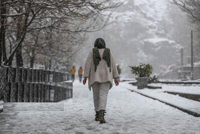 هشدار نارنجی هواشناسی برای تهران/ بارش برف و لغزندگی معابر