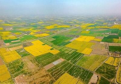 شناسایی ۱۱ مورد تغییر کاربری غیرمجاز در اراضی کشاورزی خوزستان