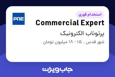 استخدام Commercial Expert - خانم در پرتوناب الکترونیک